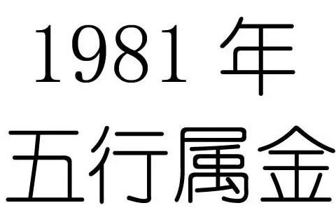 1981年11月18日五行屬什么?