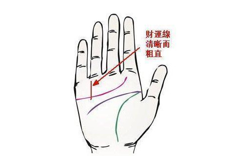 財富線短且多運勢如何？