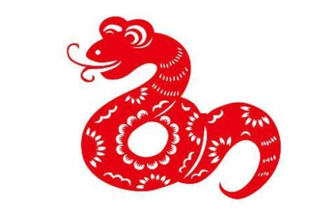 2013年是什么生肖年什么命?