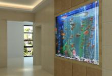 魚缸放在家哪里招財？