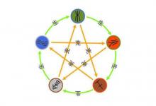 五行屬土的人如何取名?