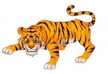 生肖虎和生肖兔合嗎?