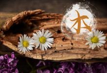 木命和木命合財嗎?