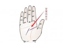 智慧線中間分叉代表了什么?