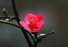 讓運氣變好的方法