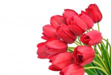 夢(mèng)見漂亮的花