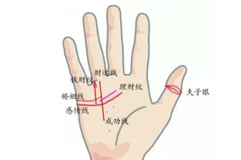 哪些手相女人嫁得好?