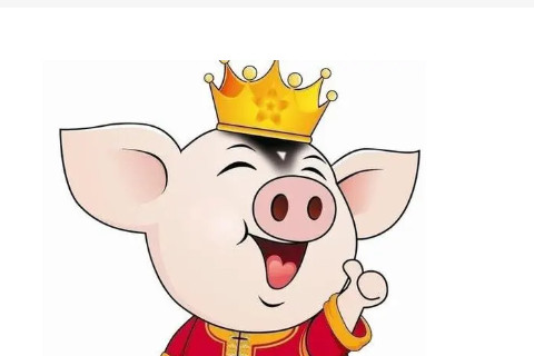 生肖豬哪個月生比較好？