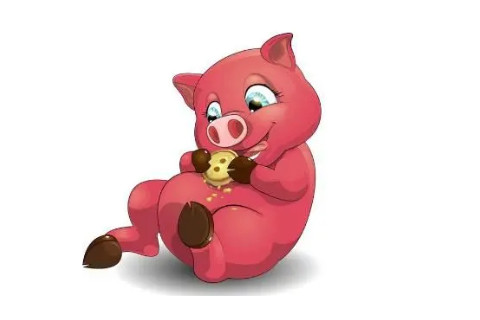 屬豬和屬兔人相配么?