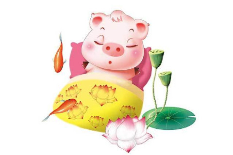 農歷十月出生的屬豬命好?