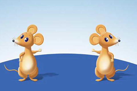 屬鼠人幾點出生旺財?