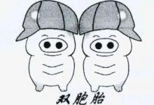 夢到生雙胞胎兒子