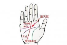 右手通天紋運勢分析