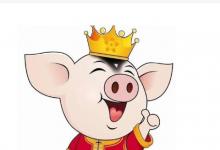 生肖豬哪個月生比較好?