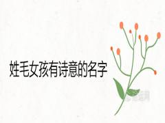 姓毛女孩有詩意的名字精選