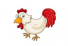 屬雞打麻將坐什么方位最旺?