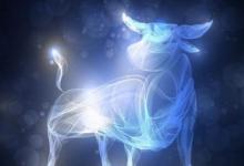 誰才是金牛座的最為適當(dāng)伴侶 三觀一致理念契合