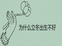為什么立冬出生不好命運(yùn)如何
