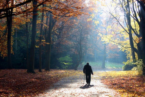 富貴有氣質(zhì)的女人面相有什么特征 鼻子高挺下巴圓潤