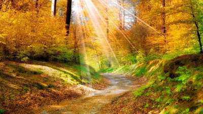 喜鵲叫是吉兆兇兆,喜鵲在家筑巢什么兆頭?