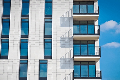 家里飛來一只鴿子測兇吉,鴿子在家筑巢的寓意