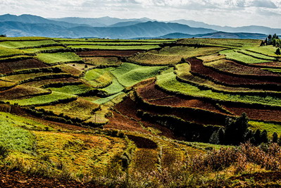 土命還有什么土?五行中什么旺土命?