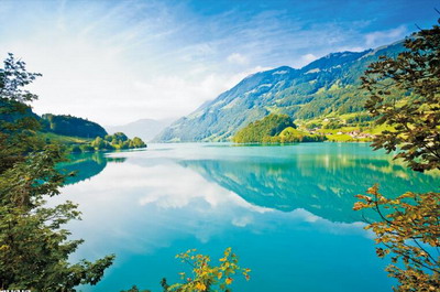 鳥叫代表什么兇吉預兆,什么鳥叫預示著要死人