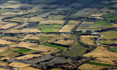 夢見青蛙進屋有什么吉兇預兆?青蛙在風水中什么意思?