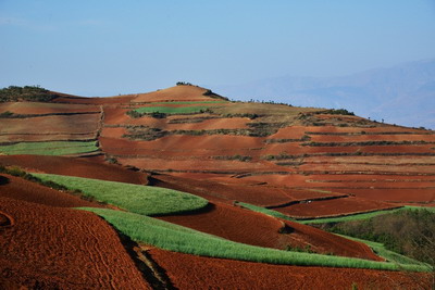 土命逢辰巳童子定不錯什么意思？童子命的口訣