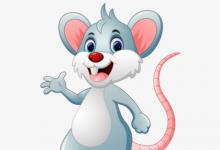 夢見老鼠預(yù)示著什么 兇兆即將出現(xiàn)需謹(jǐn)慎