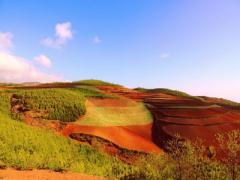 土命人逢金年運氣好嗎?在婚姻當中要注意什么?