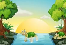 夢(mèng)見烏龜預(yù)示著什么 吉祥如意事事順心