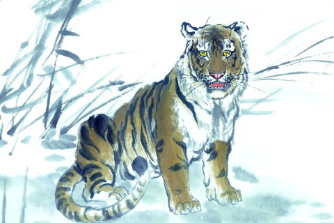 2022年屬虎本命年可以搬遷嗎,虎年本命年入新居要注意什么