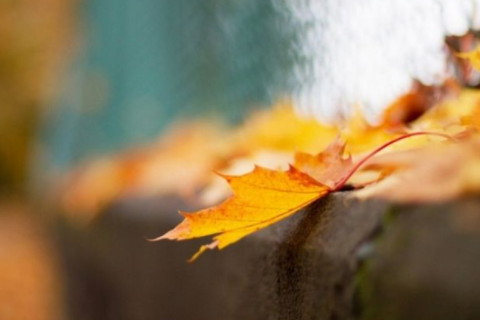 面相嘴歪的人脾性怎么樣 男人歪嘴代表著什么