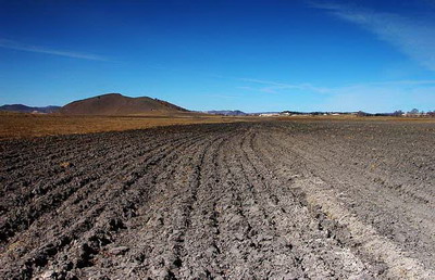 大驛土命店鋪收銀臺擺什么物件？收銀臺要怎么擺？