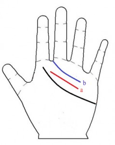 女人(男人)川字紋手相圖解大全