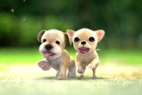 2022年事業(yè)和愛情運勢俱佳的生肖有哪些