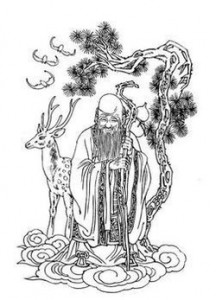 面相看旺夫相(財運或額頭紋)圖解