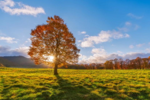 什么是生辰八字三丑?八字三丑的人性格運(yùn)勢如何