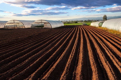 土命水旺的命運如何?土命的女孩命好不好?