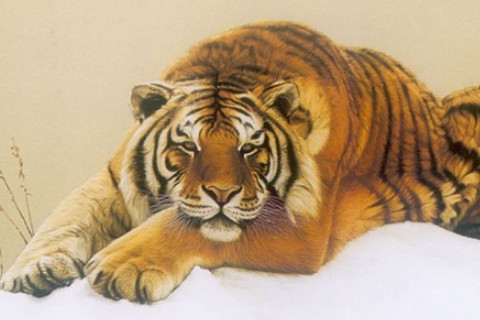 1974年屬虎2022年本命年運勢如何,74年生肖虎48歲本命年戴什么轉(zhuǎn)運