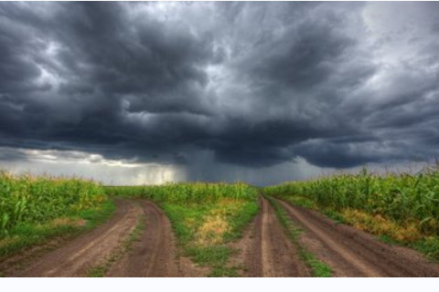 端午節(jié)為什么喝雄黃酒 還吃什么節(jié)令食