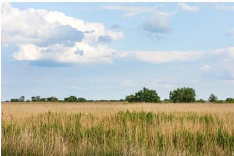 立夏要吃雞蛋 習(xí)俗的起源
