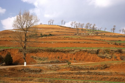 土命分為哪幾種土?什么旺土命人?