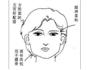 面相看旺夫相(財運或額頭紋)圖解