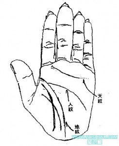 女人(男人)川字紋手相圖解大全