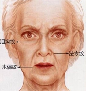 面相上,法令紋深代表什么