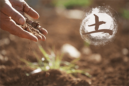 土命太旺是什么意思？土命太旺怎么化解？