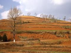 土命干不了屬水的行業(yè)嗎?路旁土命忌做什么行業(yè)?