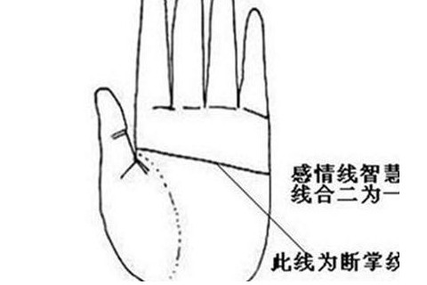 雙手斷掌是什么